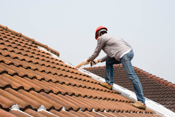 Best Storm Damage Roof Repair  in Atwater, MN