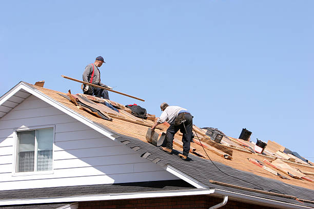 Best Roof Maintenance and Cleaning  in Atwater, MN