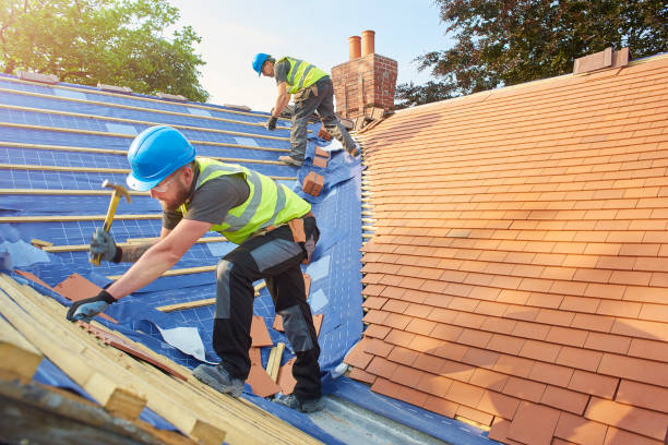Best Gutter Installation and Repair  in Atwater, MN